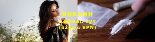 молекула духа Белокуриха
