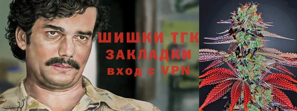 молекула духа Белокуриха