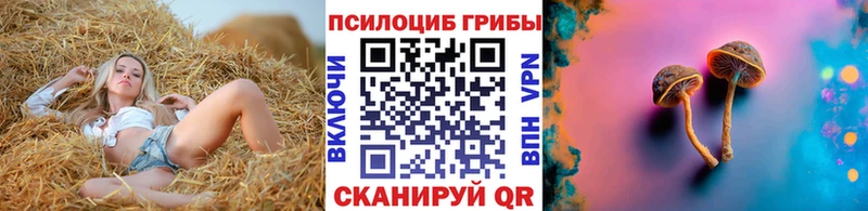 закладки  Жуковка  Галлюциногенные грибы MAGIC MUSHROOMS 