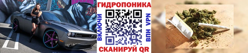 Шишки марихуана LSD WEED  где найти наркотики  Жуковка 
